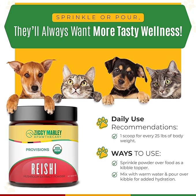 Ziggy Marley's USDA Organic Reishi Mushroom Powder for Dogs & Cats – Support Liver, Kidney & Heart – Fruiting Body Extract, 90 Grams