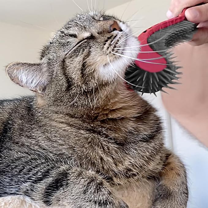 Cat Brush, Pink. Designed for Comfort, Created for Results. This innovative grooming brush features multi contoured shapes that gently adapt to your cats body for stress free grooming.