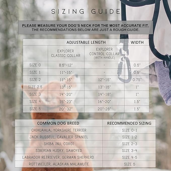 Made to ROAM Premium Dog Collar - Adjustable Heavy Duty Nylon Collar with Quick-Release Metal Buckle (Nevada Evening, Classic Size 4)