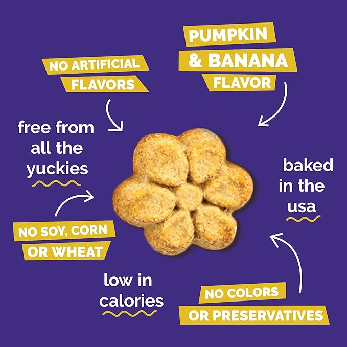 Fruitables Baked Dog Treats, Healthy Pumpkin Treat for Dogs, Low Calorie & Delicious, No Wheat, Corn or Soy, Made in the USA, Pumpkin and Banana Flavor, 7oz