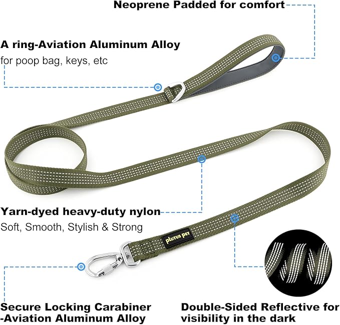 Plutus Pet Heavy Duty Dog Leash with Lockable Aluminum Carabiner, 4/6 Feet Long, Double-Sided Reflective Nylon, Padded Handle, for Puppy, Small, Medium and Large Dogs (Ranger Green, 1" x 6')