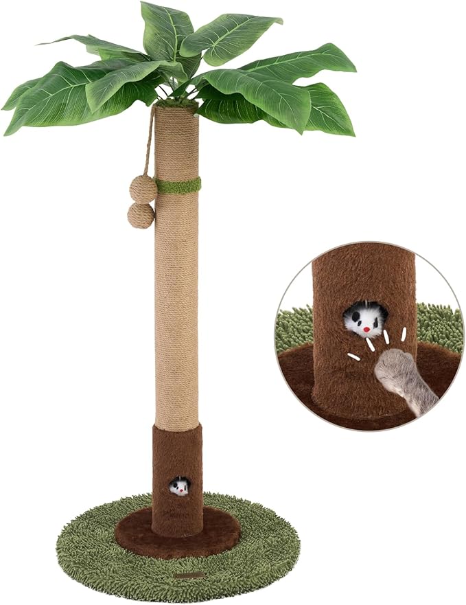 Cat Scratching Post for Indoor Cats and Kitten - 35.43" Tall Cat Scratching Post with Sisal Rope,Palm Tree Cat Scratch Post with Hanging Ball (35.4-Green, 35.4in)