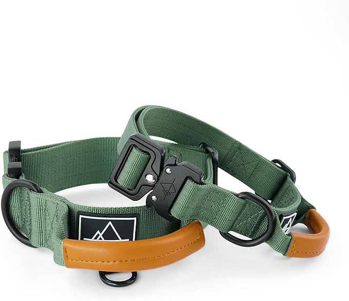 Made to ROAM Premium Explorer Control Collar - Adjustable Heavy Duty Nylon Dog Collar with Quick-Release Metal Buckle and Handle (Oregon Haze, Control Size 2.5)