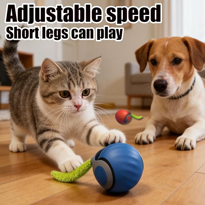 Interactive Cat Toys for Indoor Cats & Dogs, 2025 Newly Upgraded Version Tail 3.0 Cat Toys, Smart Interactive Cat & Dog Toy Ball, Automatic Moving Ball Christmas Birthday Gift for Pets (Blue)