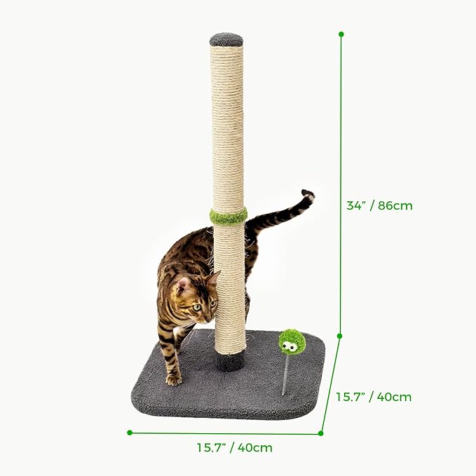 TINYBEAST 34" Tall Cat Scratching Post, Cat Scratcher Featuring Natural Sisal Rope, Cat Tree with Interactive Plush Toy Ball and Stable Base for Indoor Large Adult Cats & Kittens