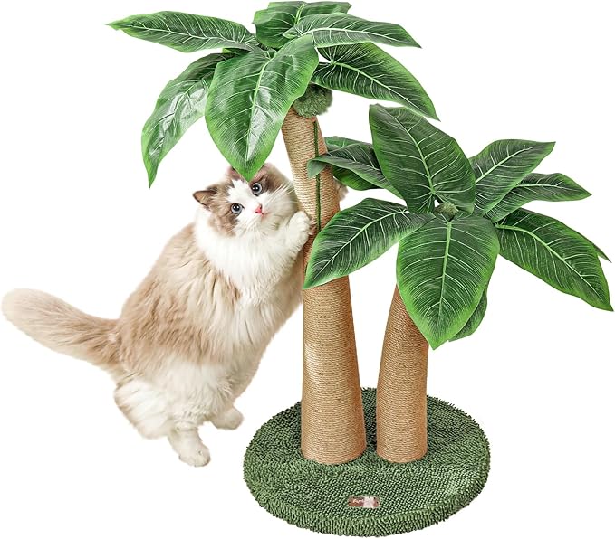 Cat Scratching Post, 35" Tall Cat Scratcher with Natural Sisal Rope, 5 Interactive Toy Balls and 2 Curved Design Scratching Posts for Indoor Cats Adults and Kitten (Style B)