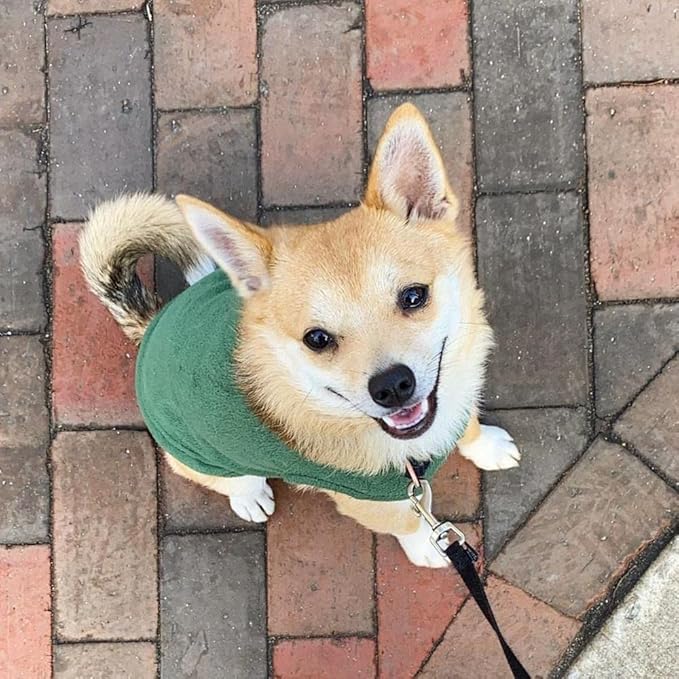 Gooby - Stretch Fleece Vest, Pullover Fleece Vest Jacket Sweater for Dogs, Forest Green, Medium Length (11")