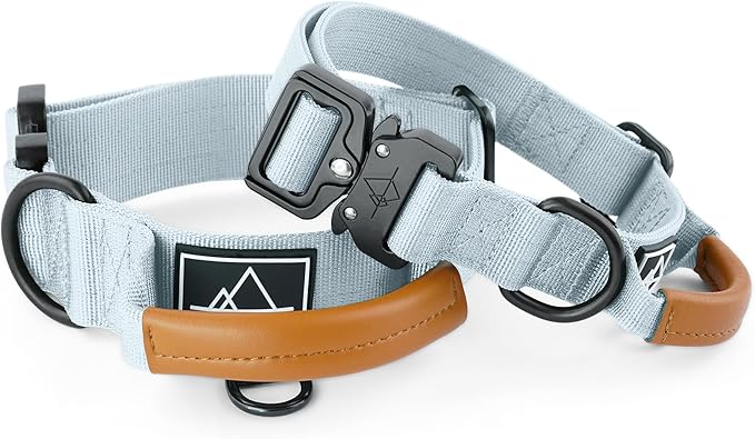 Made to ROAM Premium Explorer Control Collar - Adjustable Heavy Duty Nylon Dog Collar with Quick-Release Metal Buckle and Handle (Alaska Daybreak, Control Size 2.5)