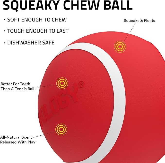 Playology Dog Toys | Squeaky Chew Ball - Bouncy Durable Floating Fetch Ball for Dogs | Medium Grandma's Gravy Scented Toy - Easy to Clean and Made from Non Toxic Materials