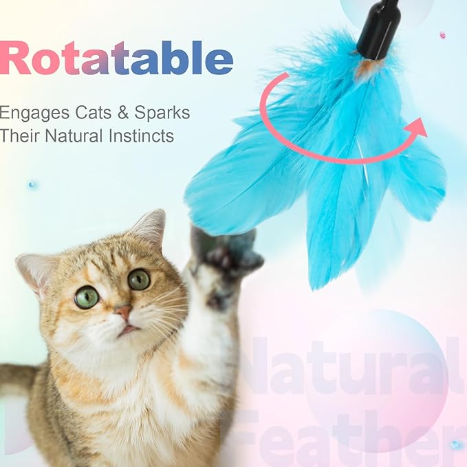 SONGWAY Cat Wand Toys for Indoor Cats - Cat Toy Set with Retractable Teaser Wand and 6 PCS Colorful Feather Toy Refills, Dragonfly Tassel Plush Cat Toys Interactive, Multicolored