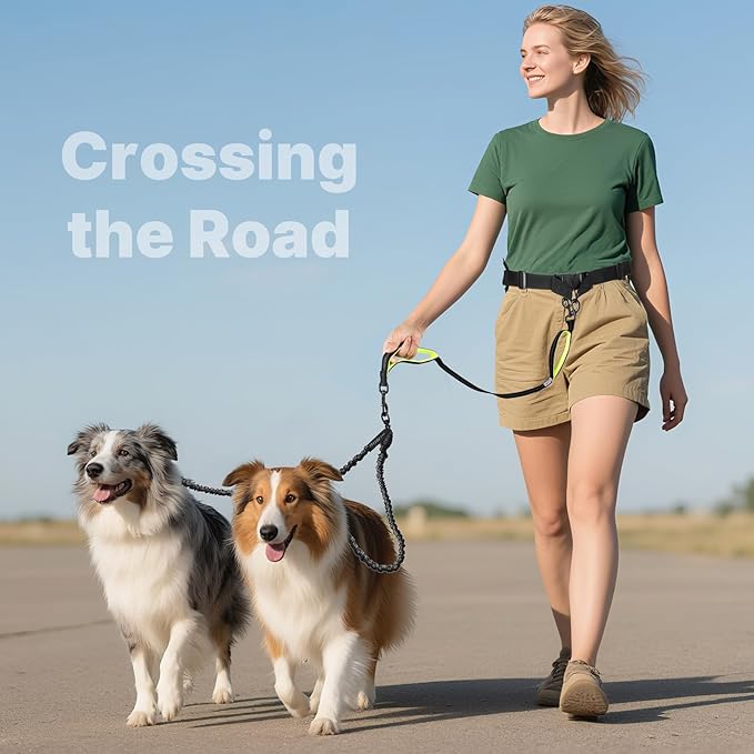 Hands Free Dog Leash for 2 Dogs, Waist Support Padded Bungee Dog Running Leash with Reflective Stitching for Walks, Jogging, Running, Hiking, and Dog Training
