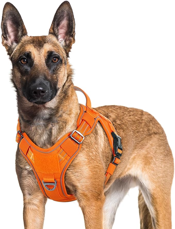 rabbitgoo Dog Harness for Large Dogs No Pull, Tactical Service Pet Vest with Molle and Control Handle, Adjustable and Reflective Military Harness for Easy Walking and Training, Orange, XL
