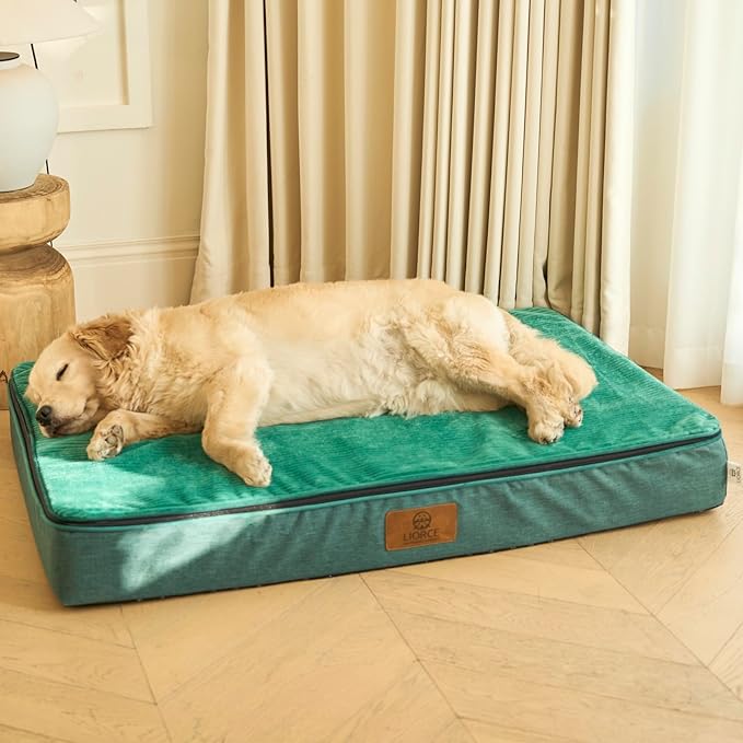 Orthopedic Memory Foam XXL Dog Bed - 6" Thick Beds for Extra Large Sized Dog - Waterproof Removable Washable Cover & Wrap-Around Zipper - Ultimate Comfort & Easy Maintenance, Green