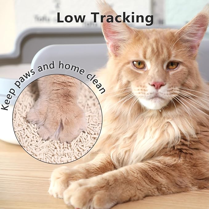 Tofu Cat Litter - Strong Clumping, Ultra Absorbent, Odor Control, Flushable, Low Tracking, Low Dust Tofu Litter Pellets - 4 Packs/24LB (Original Flavor)