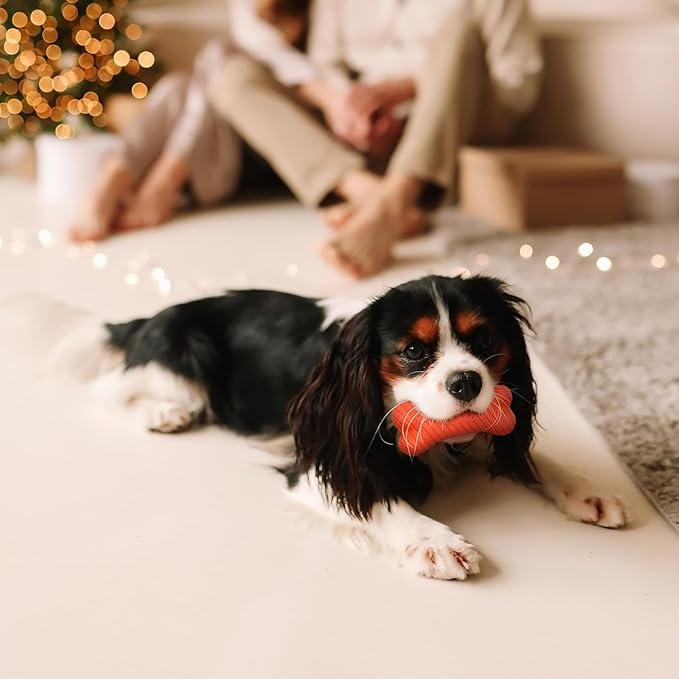 Playology Dog Toys | Dual Layer Bone Durable Chew Toy Bone for Dogs | Medium Grandma's Gravy Scented Toy - Easy to Clean and Made from Non Toxic Materials