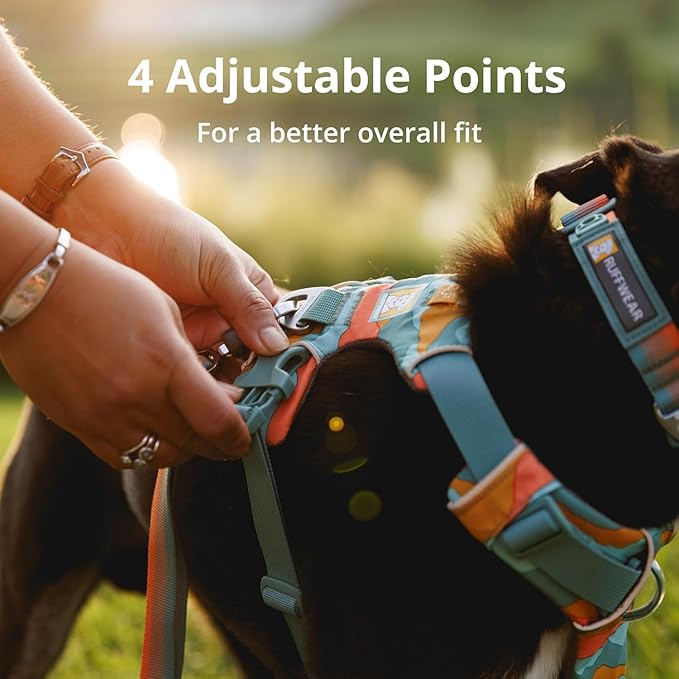 Ruffwear, Front Range Dog Harness, Reflective Soft Padded Everyday Harness with Dual Leash Clips, Adjustable and Lightweight Fit for Training or Walking for All Dogs, River Rock Green, X-Small