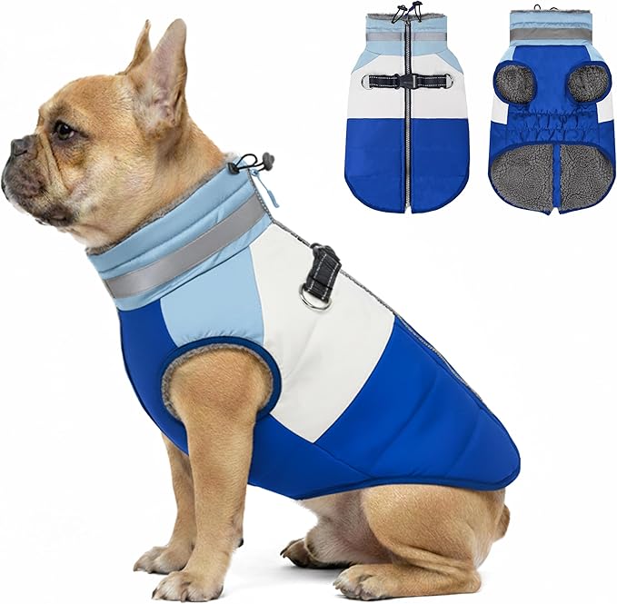 azuza Dog Jacket for Small Dogs Waterproof Dog Coat with Reflective Strips and Harness Built in Warm Fleece Dogs Winter Coat Windproof with Back Zipper, Blue L