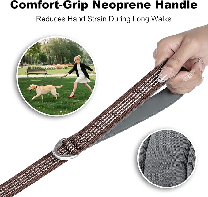 Plutus Pet Heavy Duty Dog Leash with Lockable Aluminum Carabiner, 4/6 Feet Long, Double-Sided Reflective Nylon, Padded Handle, for Puppy, Small, Medium and Large Dogs (Chocolate, 4/5" x 6')