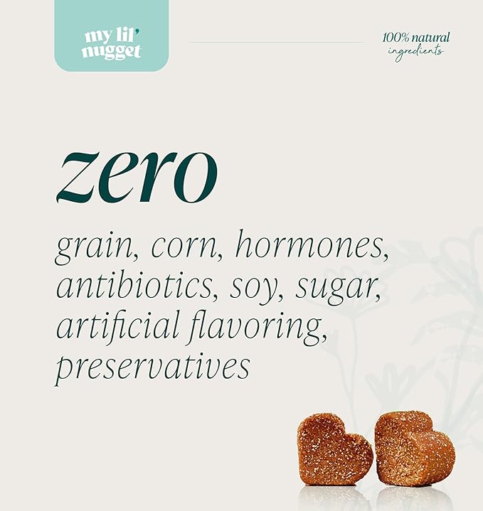 My Lil’ Nugget – Vet-Approved Hip and Joint Support for Dogs | All-Natural Dog Arthritis & Joint Pain Relief | Glucosamine, Chondroitin & Hemp | All-Ages – Senior Dog to Puppy | 90 Bacon Flavor Chews