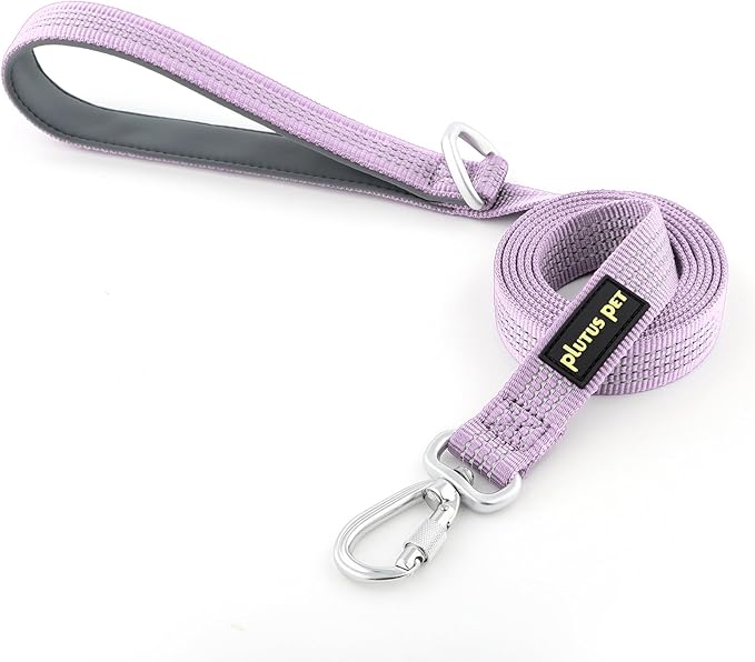 Plutus Pet Heavy Duty Dog Leash with Lockable Aluminum Carabiner, 4/6 Feet Long, Double-Sided Reflective Nylon, Padded Handle, for Puppy, Small, Medium and Large Dogs (Lilac Purple, 4/5" x 6')