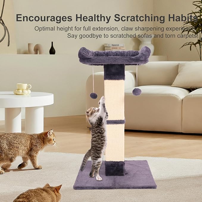 34" Cat Scratching Post for Indoor Cats, Sisal Cat Scratcher with Large Plush Perch, Vertical Posts with Elevated Bed and with Two Dangling Balls, Removable & Washable Cover, Dark Grey