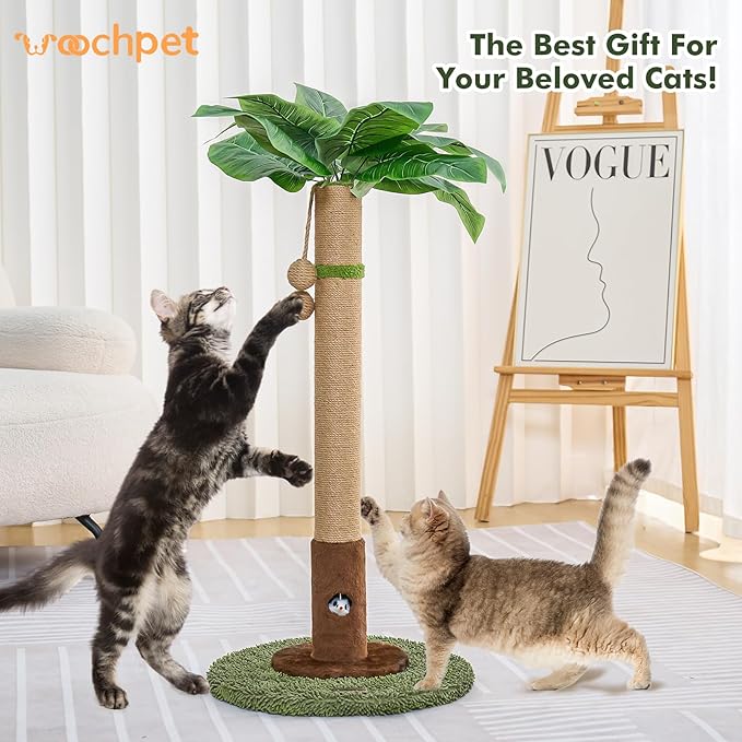 Cat Scratching Post for Indoor Cats and Kitten - 35.43" Tall Cat Scratching Post with Sisal Rope,Palm Tree Cat Scratch Post with Hanging Ball (35.4-Green, 35.4in)