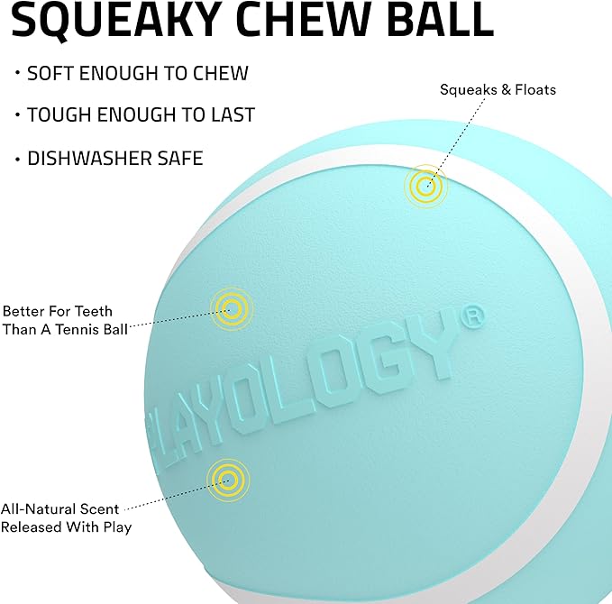 Playology Dog Toys | Squeaky Chew Ball - Bouncy Durable Floating Fetch Ball for Dogs, Value 2-Pack | Medium Peanut Butter Scented Toy - Easy to Clean and Made from Non Toxic Materials