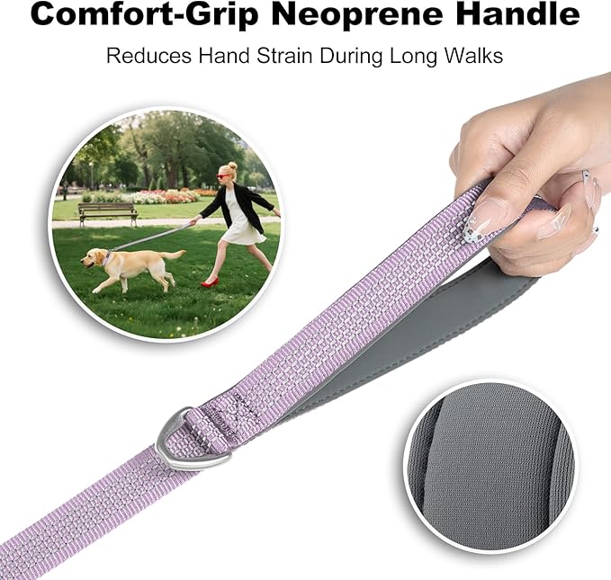 Plutus Pet Heavy Duty Dog Leash with Lockable Aluminum Carabiner, 4/6 Feet Long, Double-Sided Reflective Nylon, Padded Handle, for Puppy, Small, Medium and Large Dogs (Lilac Purple, 4/5" x 4')