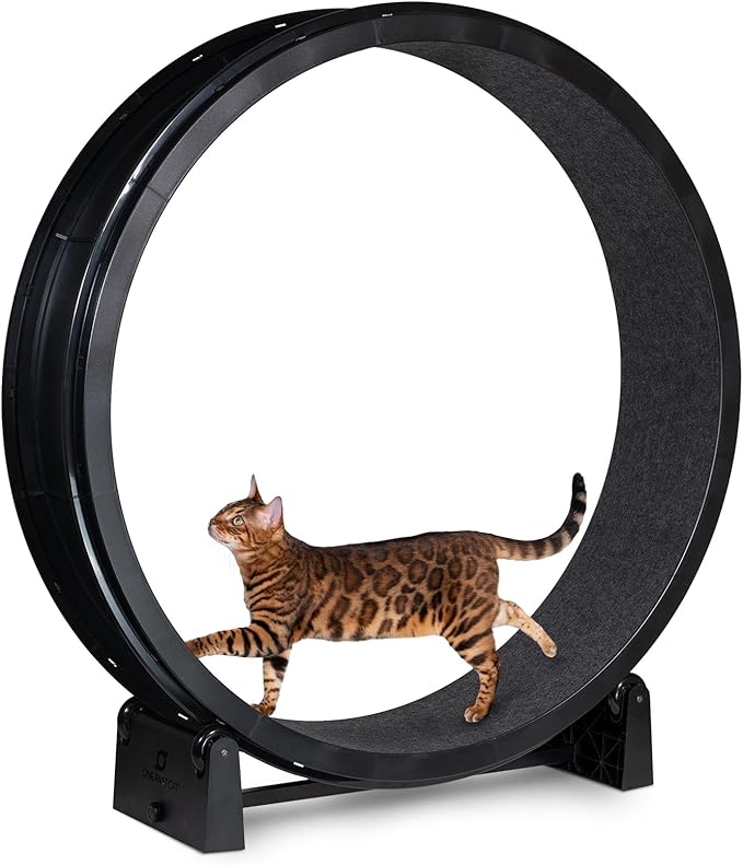 One Fast Cat - Cat Exercise Wheel - Gen. 7 - Safe 48" Diameter - Made in The USA - Black Wheel with Black Felt Traction Pads and Light-Up LED Inline Wheels