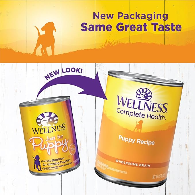 Wellness Complete Health Natural Wet Canned Puppy Food, Puppy Chicken & Salmon 12.5-Ounce Can (Pack of 12)
