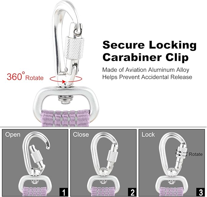 Plutus Pet Heavy Duty Dog Leash with Lockable Aluminum Carabiner, 4/6 Feet Long, Double-Sided Reflective Nylon, Padded Handle, for Puppy, Small, Medium and Large Dogs (Lilac Purple, 4/5" x 4')