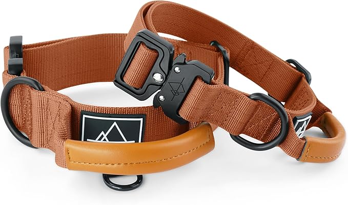 Made to ROAM Premium Explorer Control Collar - Adjustable Heavy Duty Nylon Dog Collar with Quick-Release Metal Buckle and Leather Handle (Nevada Evening, Size 2, Control)
