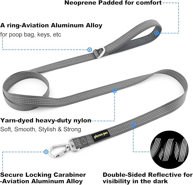 Plutus Pet Heavy Duty Dog Leash with Lockable Aluminum Carabiner, 4/6 Feet Long, Double-Sided Reflective Nylon, Padded Handle, for Puppy, Small, Medium and Large Dogs (Gray, 1" x 6')