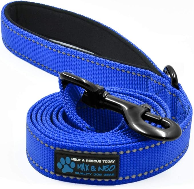 Max and Neo Small Dog Reflective Nylon Leash - Every Purchase Donates One, 4x5/8" (Blue)