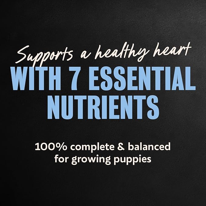 Cesar Puppy Classic Loaf in Sauce Wet Dog Food, Chicken & Beef Recipe, 3.5 oz. Easy Peel Trays, Dog Food Toppers, 24 Count