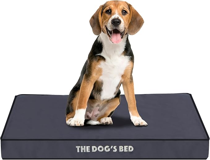 The Dog’s Bed Orthopedic Dog Bed, Medium Grey with Black Trim, Waterproof, Supportive Dog Bed with Washable Replaceable Covers, Veterinary Approved