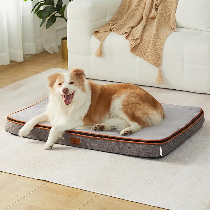 Memory Foam XL Dog Bed - 4” Thick Orthopedic Beds for Extra Large Dogs - Waterproof Dog Bed with Removable Washable Cover & Wrap-Around Zipper - Ultimate Comfort and Easy Maintenance