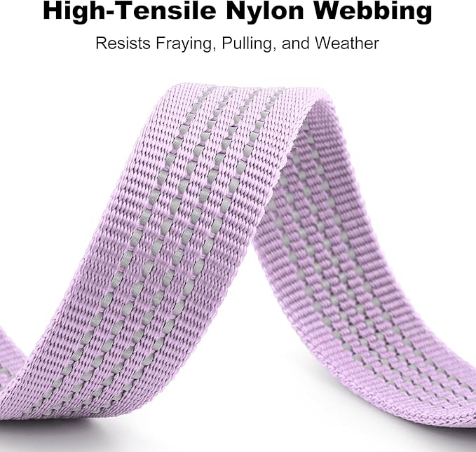 Plutus Pet Heavy Duty Dog Leash with Lockable Aluminum Carabiner, 4/6 Feet Long, Double-Sided Reflective Nylon, Padded Handle, for Puppy, Small, Medium and Large Dogs (Lilac Purple, 1" x 4')