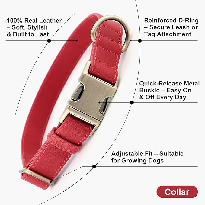 Plutus Pet Genuine Leather Dog Collar – Adjustable Pet Collar with Quick Release Metal Buckle, Soft Real Leather for Small Medium Large Dogs, Heavy Duty & Skin-Friendly (Red, XS)