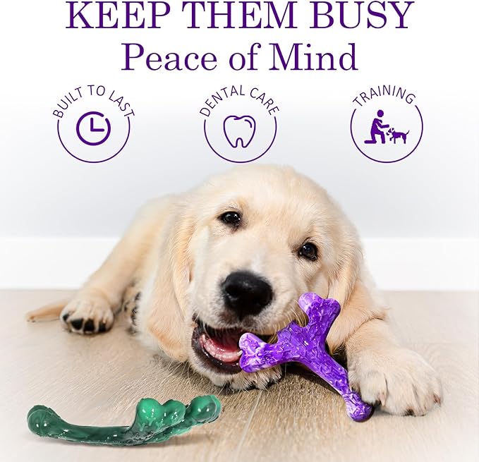 Dog Toys for Aggressive Chewers: Dog Chew Toys 6 Pack Beef Flavored Indestructible Toy, Easy to Use & Clean, Tough Nylon Chew Bone for 20-70 lbs Medium and Large Dogs