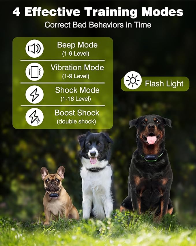 3 Dogs Shock Collar with Remote 3 Pack - 3300FT Dog Training Collar with Flashlight, Double Shock for Large/Stubborn Dogs, 4 Training Modes, IP67 Rechargeable E Collar for Small Medium Large Dogs