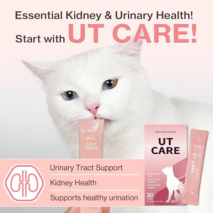 Doctor By UT Care Cat UTI Kidney Support Urinary Supplement Cranberry Treatment for Cats Renal Health with Pacran, Quercetin, Taurine lickable Formula Individually Packaged (1 Pack)