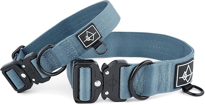 Made to ROAM Premium Dog Collar - Adjustable Heavy Duty Nylon Collar with Quick-Release Metal Buckle (California Horizon, Classic Size 2.5)