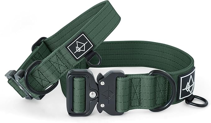 Made to ROAM Premium Dog Collar - Adjustable Heavy Duty Nylon Collar with Quick-Release Metal Buckle (Maine Marina, Classic Size 1)