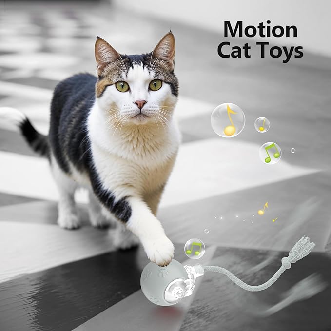 Interactive Cat Toys, Automatic Moving Cat Toys for Bored Indoor Adult Cats, Fast Rolling, Chirping & Motion-Activated Kitty Toys, Fun Gift for Cats with Speedy Tail 2.0, USB Rechargeable (Gray)