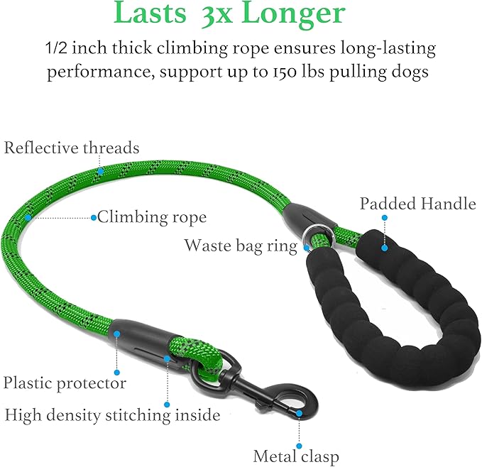 iYoShop Dual Dog Leash - 360° Swivel, No Tangle Walking Leash with Shock Absorbing Bungee for Two Dogs (Large, 25-150 lbs, Emerald)