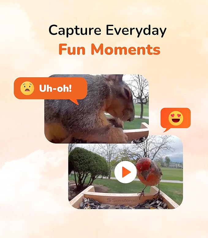 Sensforge Smart AI Bird Feeder Camera, 2.5K HD Live View, Solar-Powered Wooden Outdoor Feeder with AI Recognition, Weatherproof, App Notifications - Ideal for Bird Lovers, Parents & Kids