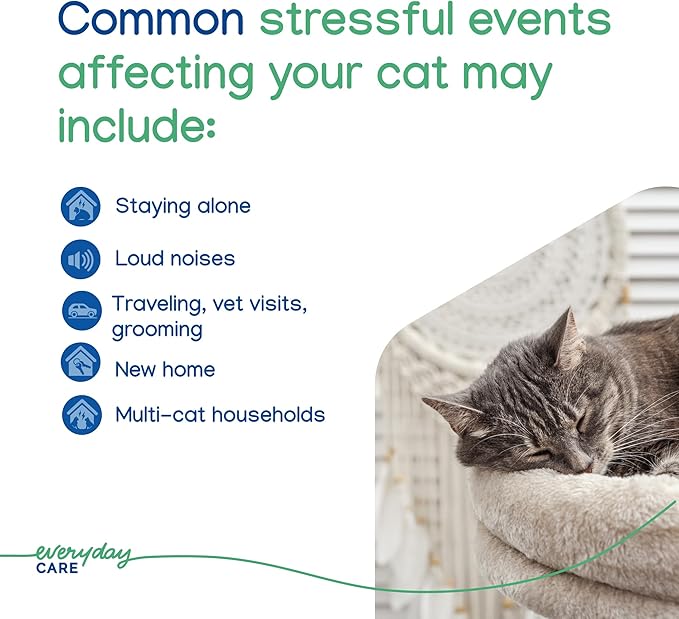 Virbac ZENIFEL Gel Diffuser for Managing Stress-Related Behaviors in Kittens & Cats - No Electricity Needed - Lasts Up to 2 Months