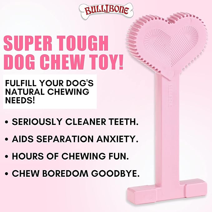Bullibone Nylon Dog Chew Toy for Aggressive Chewers - Dental Hygiene Bone with Peppermint Flavor, Durable Tough Chew Toys for Large Dogs, Indestructible Dog Bone - Single