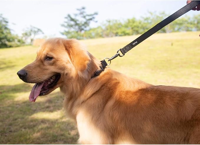 Hyhug Premium Heavy Duty Nylon 18 Inch Short Leash with Soft Cushioned Padded Handle for Giant Large Medium Boy and Girl Dogs - Daily Use Walking, Professional Training. (18 Inches, Black)